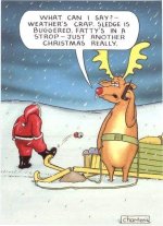 Deer.jpg