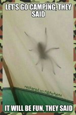 10506824_330572820425901_7769076111494100305_o.jpg