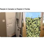 487B5238-7AE8-4919-ACA5-DBB2FC85C2AF.jpeg