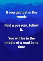 Possum.jpg
