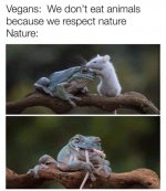 Vegans.jpg Vegans.jpg