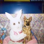 Jake&bunny.jpg