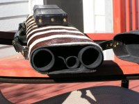 ZebraJustis 007.jpg