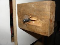 g10thru2x4.JPG