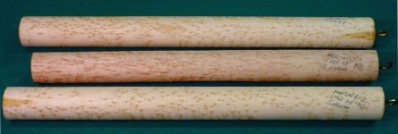 Forearm 1.jpg