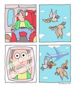Birds Flying.jpg
