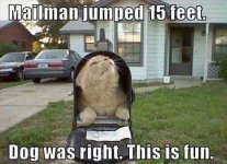 cat nailman.jpg