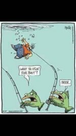 Fish Fishing.jpg