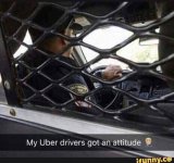 uber driver.jpg