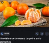 CropperCapture[474].jpg