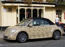 Leopard skin volkswagon.jpg