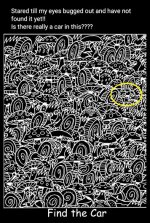 car puzzle.jpg