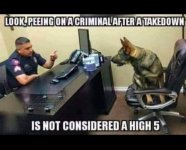 794E8D63-4E3C-45D6-ACEB-8F46AA86E469.jpeg