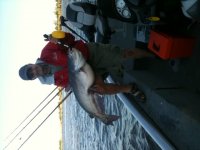 Catfish.JPG