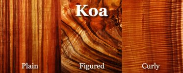 koa-title.jpg