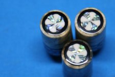 Protectors Caps (3).jpg