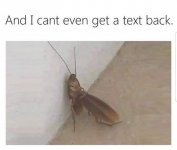 FB_IMG_1584207126985.jpg