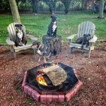 amusing-animals-will-fill-that-black-hole-in-your-heart-25-16.jpg