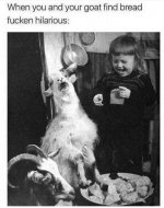 FB_IMG_1584494327796.jpg