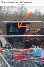 Amish.jpg