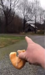 donut.jpg