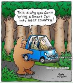 smart car.jpg