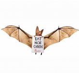 bat.jpg