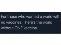 Vaccine.PNG