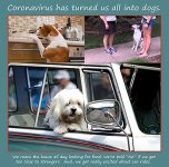 Car Rides Sm.jpg