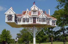 Luxury-Homes-For-Birds.jpg