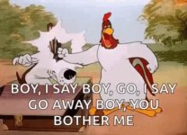 go away boy.jpg