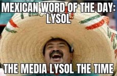 Lysol.jpg