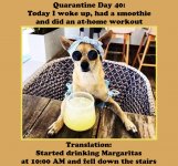 Quarantine Day 40 v2.jpg