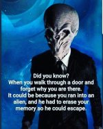 alien.jpg
