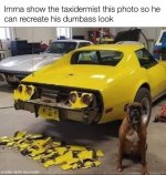 taxidermist.jpg