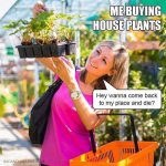 house plants.jpg