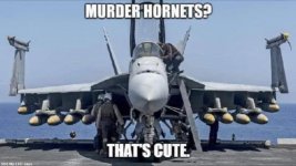 murder hornets.jpg