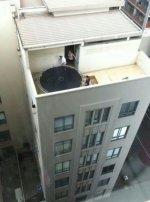 Darwin award.jpg