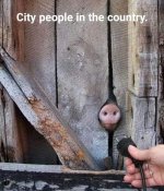 city people.jpg