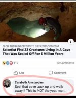 cave.jpg