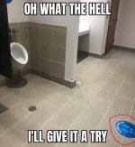 toilet.jpg