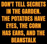 secrets.jpg