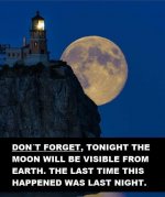 moon.jpg