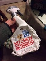 chew toy.jpg