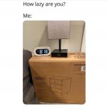 Lazy.jpg