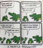Reptiles.jpg
