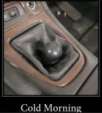 cold morning.jpg