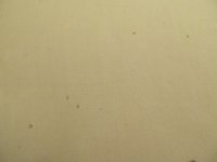 IMG_2683.JPG
