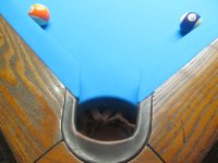 IMG_2788.JPG