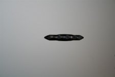 JIG VENEER 007 (Large).jpg